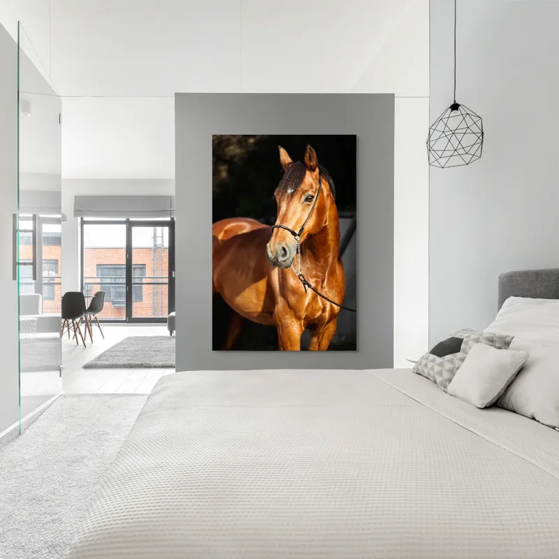 Tablou Canvas, "Calut nobil in lumina calda", 100 x 150 cm – poza 5