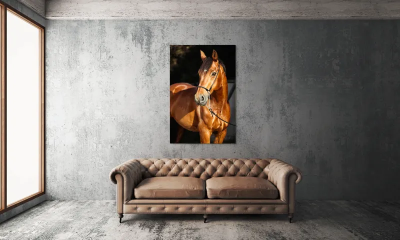 Tablou Canvas, "Calut nobil in lumina calda", 100 x 150 cm – poza 6