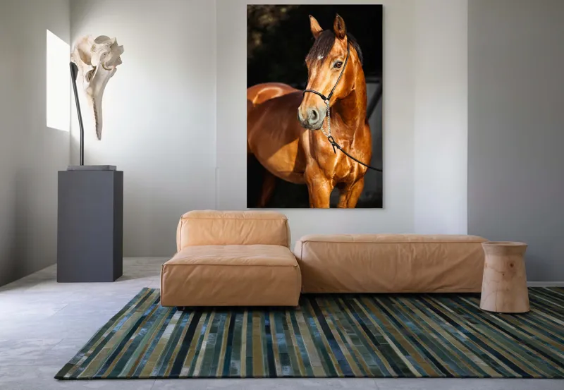 Tablou Canvas, "Calut nobil in lumina calda", 100 x 150 cm – poza 7