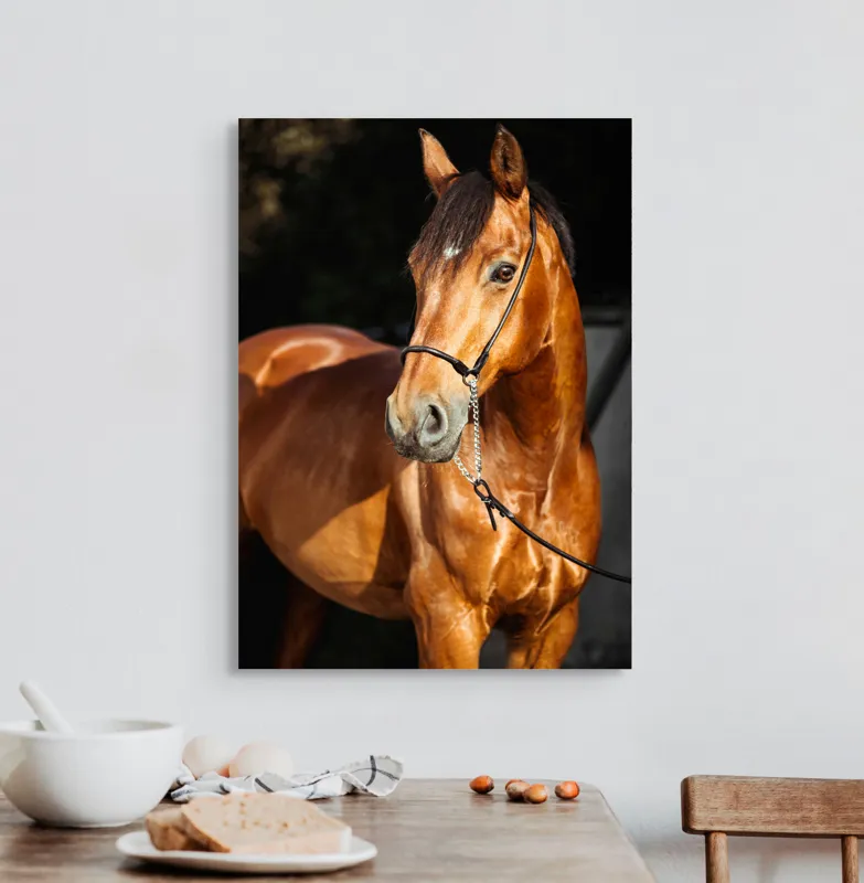 Tablou Canvas, "Calut nobil in lumina calda", 50 x 70 cm – poza 3