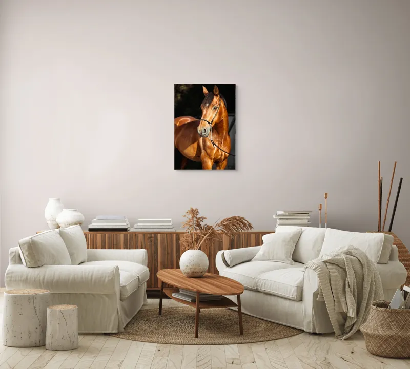 Tablou Canvas, "Calut nobil in lumina calda", 50 x 70 cm – poza 4