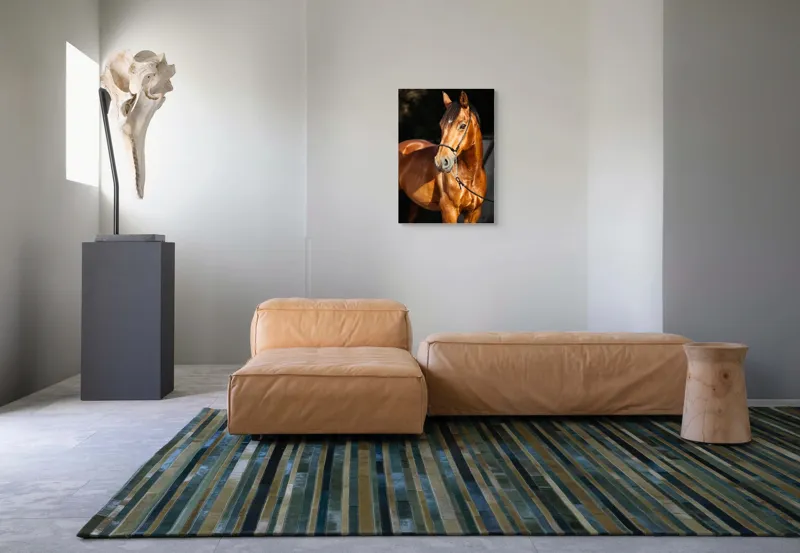 Tablou Canvas, "Calut nobil in lumina calda", 50 x 70 cm – poza 7