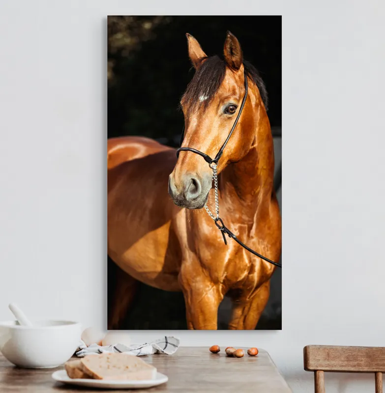 Tablou Canvas, "Calut nobil in lumina calda", Nu știu cine este în imagine., 50 x 90 cm – poza 3