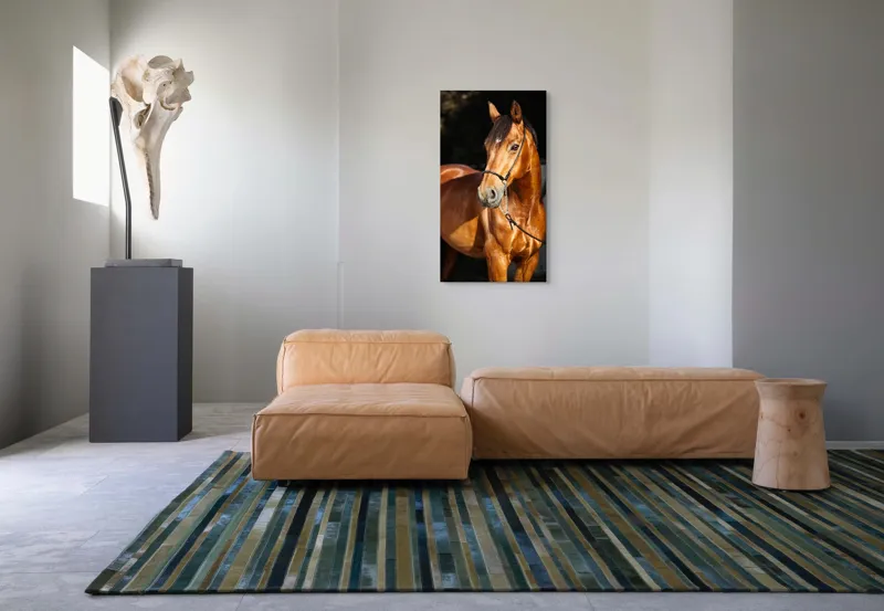 Tablou Canvas, "Calut nobil in lumina calda", Nu știu cine este în imagine., 50 x 90 cm – poza 5
