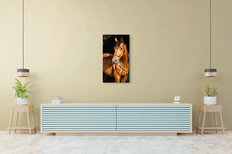 Tablou Canvas, "Calut nobil in lumina calda", Nu știu cine este în imagine., 50 x 90 cm – poza 6