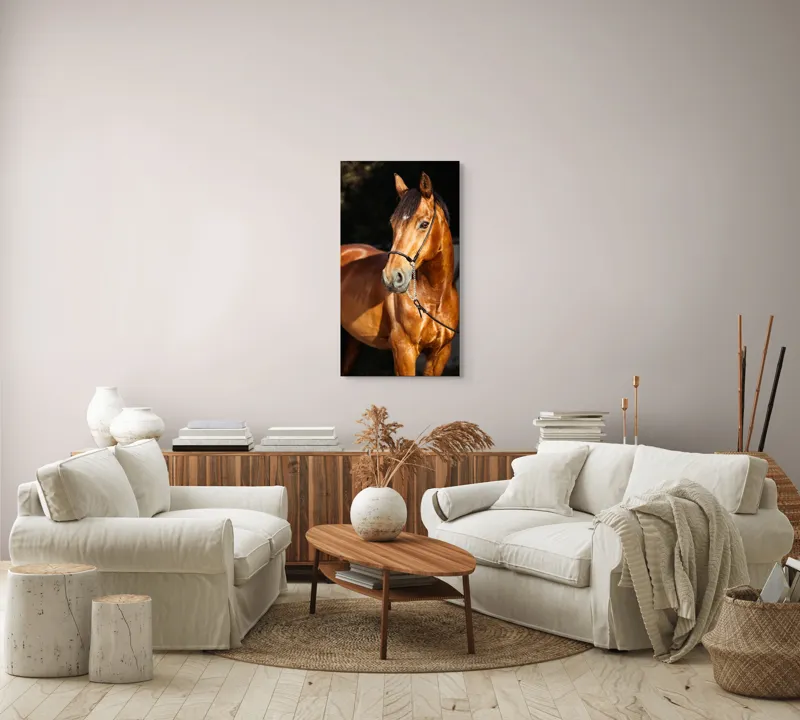 Tablou Canvas, "Calut nobil in lumina calda", Nu știu cine este în imagine., 50 x 90 cm – poza 7