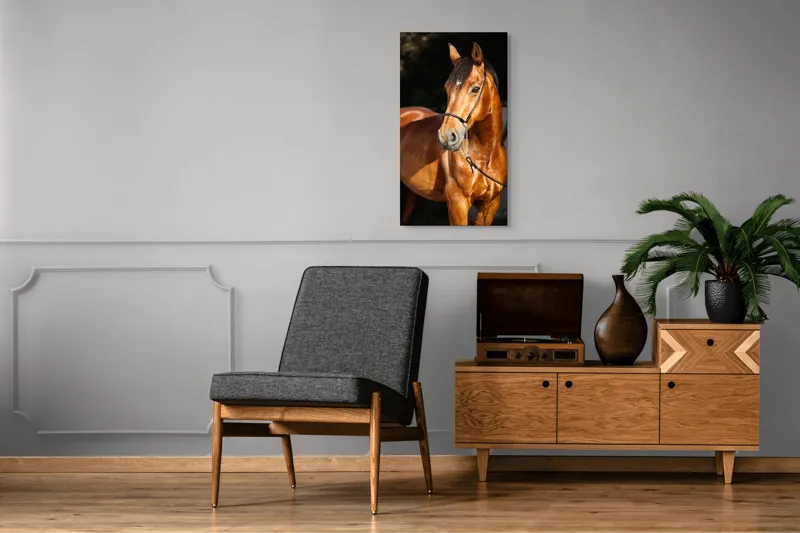Tablou Canvas, "Calut nobil in lumina calda", Nu știu cine este în imagine., 50 x 90 cm – poza 8