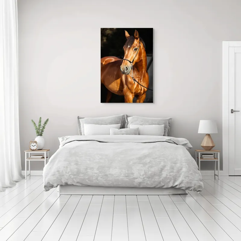 Tablou Canvas, "Calut nobil in lumina calda", 70 x 100 cm – poza 3