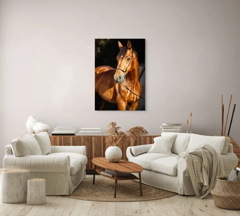 Tablou Canvas, "Calut nobil in lumina calda", 70 x 100 cm – poza 4