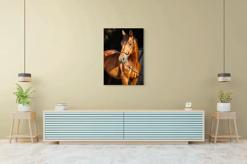 Tablou Canvas, "Calut nobil in lumina calda", 70 x 100 cm – poza 5