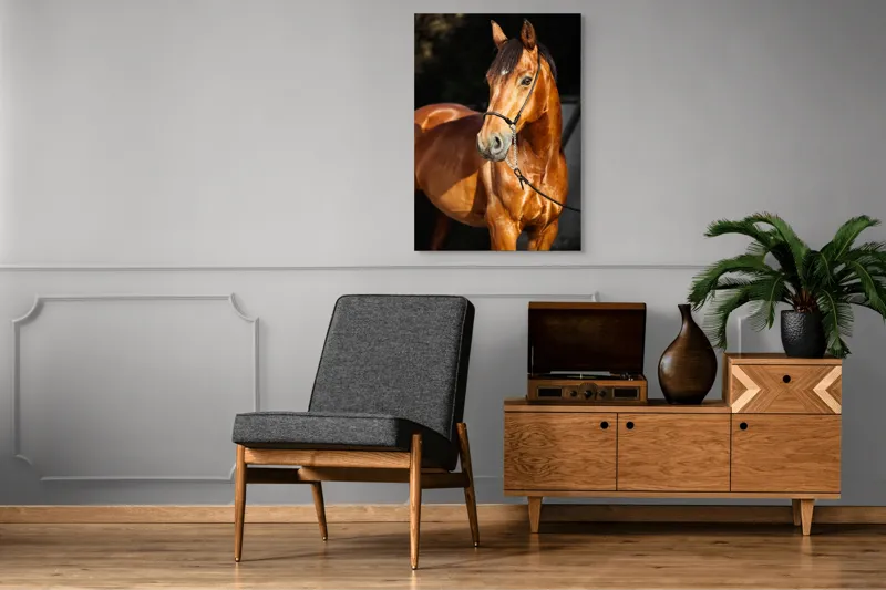 Tablou Canvas, "Calut nobil in lumina calda", 70 x 100 cm – poza 6