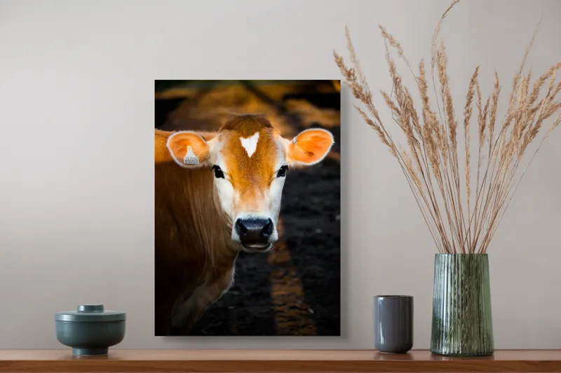 Tablou Canvas, "Vaca sub cerul dimineții aurii", 39 x 54 cm – poza 3