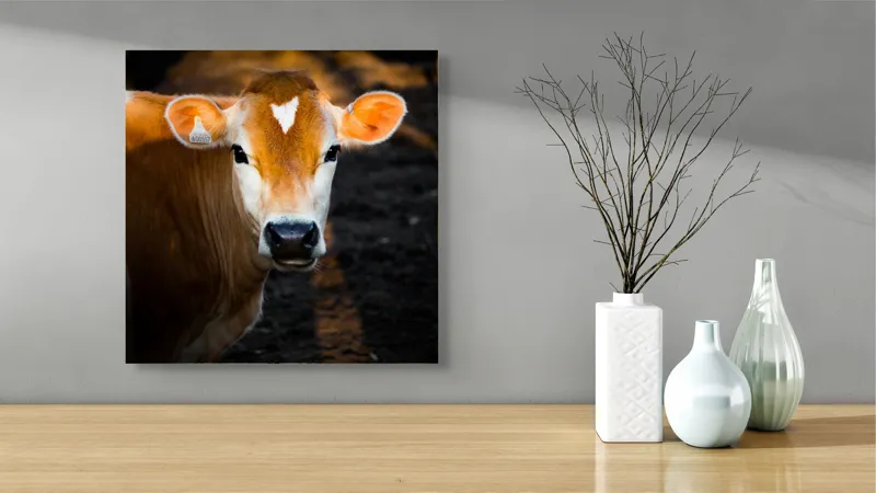 Tablou Canvas, "Vaca sub cerul dimineții aurii", 50 x 50 cm – poza 3