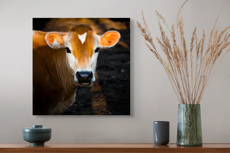 Tablou Canvas, "Vaca sub cerul dimineții aurii", 50 x 50 cm – poza 4