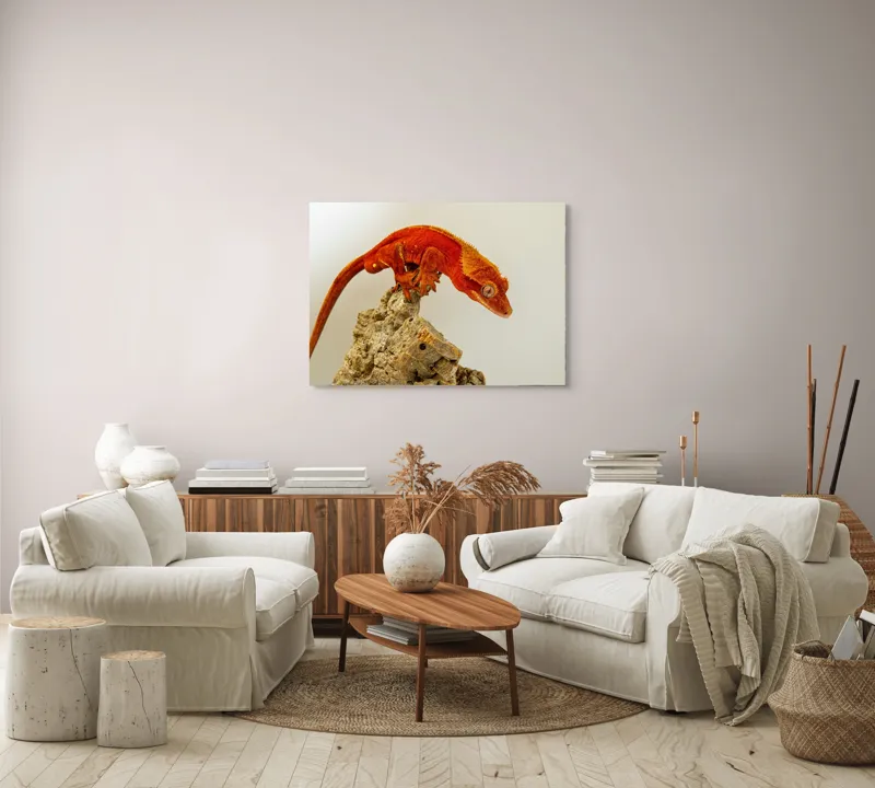 Tablou Canvas, "Șopârla roșie pe stânca aspră", Șopârlă, Stâncă, Roșu, Ochii, Coadă, Textură, Solzi, Fundal, Verticalitate, 100 x 70 cm – poza 3