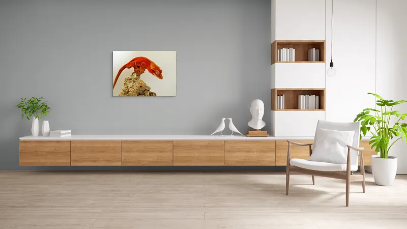 Tablou Canvas, "Șopârla roșie pe stânca aspră", Șopârlă, Stâncă, Roșu, Ochii, Coadă, Textură, Solzi, Fundal, Verticalitate, 100 x 70 cm – poza 6