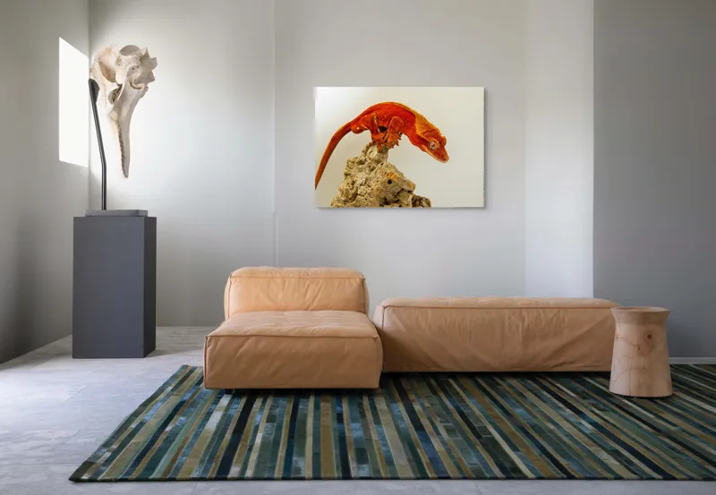 Tablou Canvas, "Șopârla roșie pe stânca aspră", Șopârlă, Stâncă, Roșu, Ochii, Coadă, Textură, Solzi, Fundal, Verticalitate, 100 x 70 cm – poza 7
