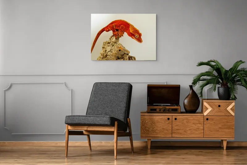 Tablou Canvas, "Șopârla roșie pe stânca aspră", Șopârlă, Stâncă, Roșu, Ochii, Coadă, Textură, Solzi, Fundal, Verticalitate, 100 x 70 cm – poza 8