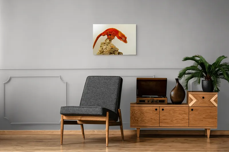 Tablou Canvas, "Șopârla roșie pe stânca aspră", Șopârlă, Stâncă, Roșu, Ochii, Coadă, Textură, Solzi, Fundal, Verticalitate, 70 x 50 cm – poza 4