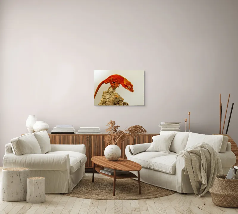 Tablou Canvas, "Șopârla roșie pe stânca aspră", Șopârlă, Stâncă, Roșu, Ochii, Coadă, Textură, Solzi, Fundal, Verticalitate, 70 x 50 cm – poza 6