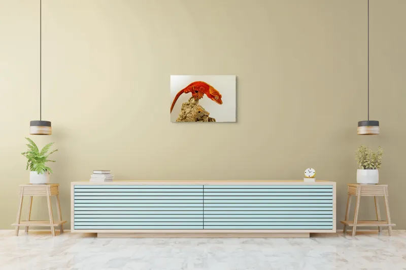 Tablou Canvas, "Șopârla roșie pe stânca aspră", Șopârlă, Stâncă, Roșu, Ochii, Coadă, Textură, Solzi, Fundal, Verticalitate, 70 x 50 cm – poza 7