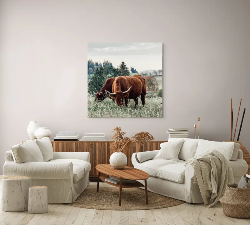 Tablou Canvas, "Bivoli păscând pe dealuri verzi", 100 x 100 cm – poza 3