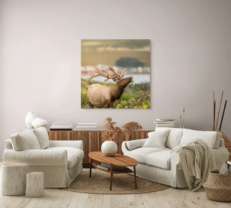 Tablou Canvas, "Cerbul printre flori galbene de câmp", Cerb, Peisaj, Natură, Flori, Verdeață, Apus, Cer Albastru, Dealuri, Serenitate, Majestuos, 100 x 100 cm – poza 3