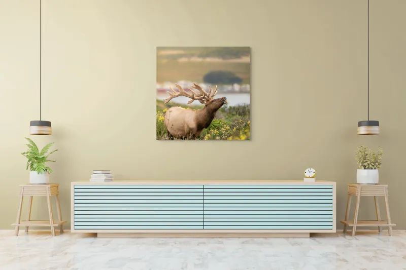 Tablou Canvas, "Cerbul printre flori galbene de câmp", Cerb, Peisaj, Natură, Flori, Verdeață, Apus, Cer Albastru, Dealuri, Serenitate, Majestuos, 100 x 100 cm – poza 5
