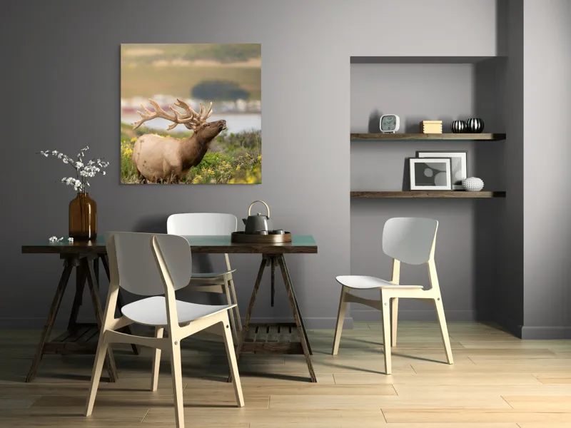 Tablou Canvas, "Cerbul printre flori galbene de câmp", Cerb, Peisaj, Natură, Flori, Verdeață, Apus, Cer Albastru, Dealuri, Serenitate, Majestuos, 100 x 100 cm – poza 6