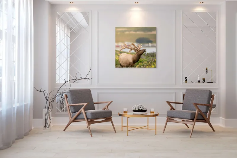 Tablou Canvas, "Cerbul printre flori galbene de câmp", Cerb, Peisaj, Natură, Flori, Verdeață, Apus, Cer Albastru, Dealuri, Serenitate, Majestuos, 100 x 100 cm – poza 7