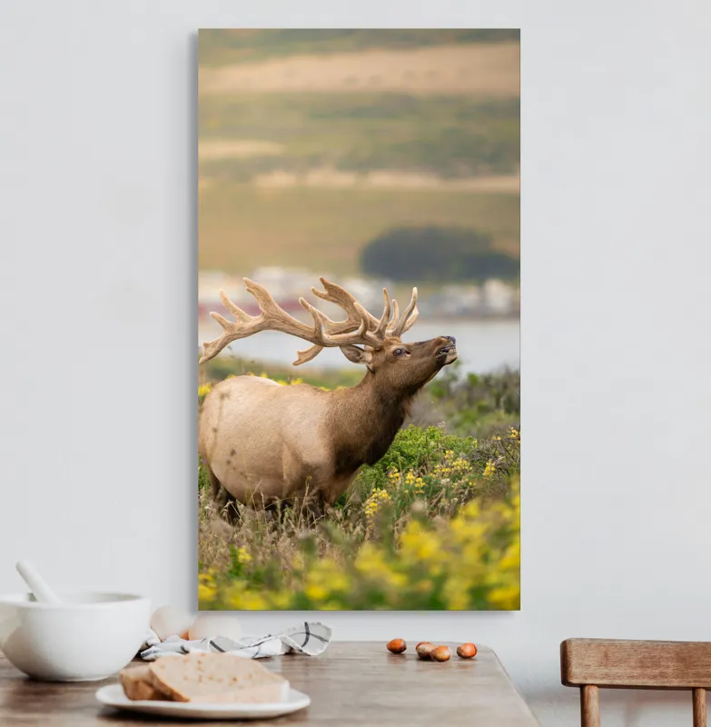 Tablou Canvas, "Cerbul printre flori galbene de câmp", Cerb, Peisaj, Natură, Flori, Verdeață, Apus, Cer Albastru, Dealuri, Serenitate, Majestuos, 50 x 90 cm – poza 3