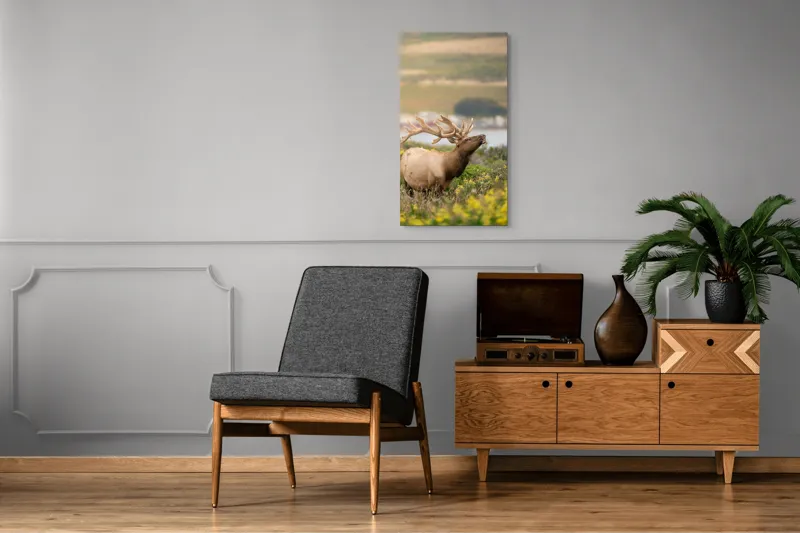 Tablou Canvas, "Cerbul printre flori galbene de câmp", Cerb, Peisaj, Natură, Flori, Verdeață, Apus, Cer Albastru, Dealuri, Serenitate, Majestuos, 50 x 90 cm – poza 8