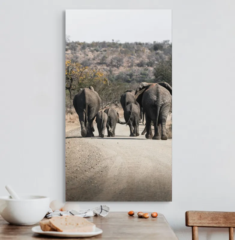 Tablou Canvas, "Familie de elefanți pe drum întins", Elefanți, Drum, Natură, Peisaj, Familie, Africa, Copaci, Căldură, Savană, Plimbare, 50 x 90 cm – poza 3