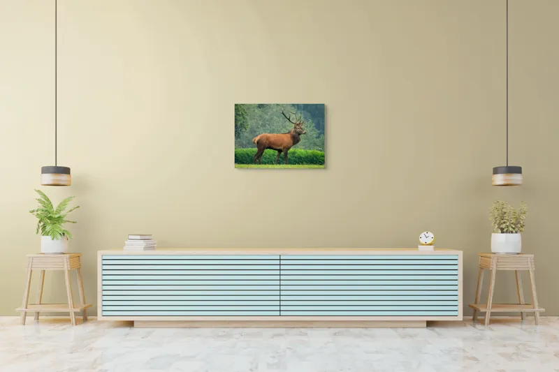 Tablou Canvas, "Cerbul impunător în lumina dimineții", Cerb, Majestic, Pădure, Natura, Verdeață, Coarne., 70 x 50 cm – poza 7