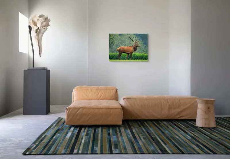 Tablou Canvas, "Cerbul impunător în lumina dimineții", Cerb, Majestic, Pădure, Natura, Verdeață, Coarne., 70 x 50 cm – poza 8
