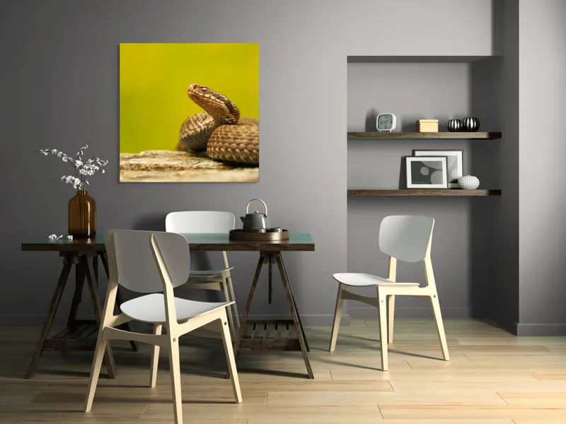 Tablou Canvas, "Șarpe pe piatră sub cer senin", Șarpe, Viperă, Solzi, Ochi, Natură, Pietre, Culoare, Peisaj, 100 x 100 cm – poza 6
