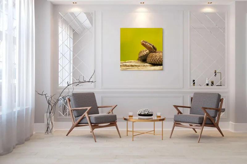 Tablou Canvas, "Șarpe pe piatră sub cer senin", Șarpe, Viperă, Solzi, Ochi, Natură, Pietre, Culoare, Peisaj, 100 x 100 cm – poza 7
