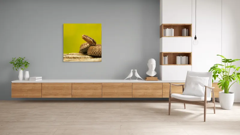 Tablou Canvas, "Șarpe pe piatră sub cer senin", Șarpe, Viperă, Solzi, Ochi, Natură, Pietre, Culoare, Peisaj, 100 x 100 cm – poza 8