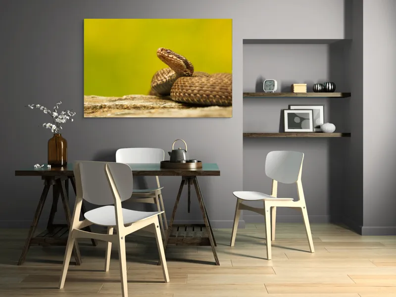Tablou Canvas, "Șarpe pe piatră sub cer senin", Șarpe, Viperă, Solzi, Ochi, Natură, Pietre, Culoare, Peisaj, 150 x 100 cm – poza 5