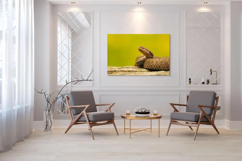 Tablou Canvas, "Șarpe pe piatră sub cer senin", Șarpe, Viperă, Solzi, Ochi, Natură, Pietre, Culoare, Peisaj, 150 x 100 cm – poza 7