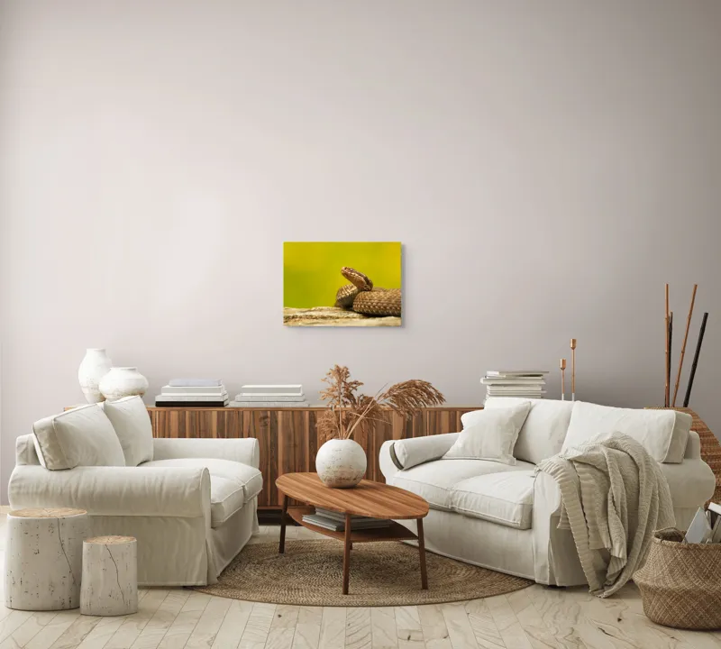 Tablou Canvas, "Șarpe pe piatră sub cer senin", Șarpe, Viperă, Solzi, Ochi, Natură, Pietre, Culoare, Peisaj, 54 x 39 cm – poza 5