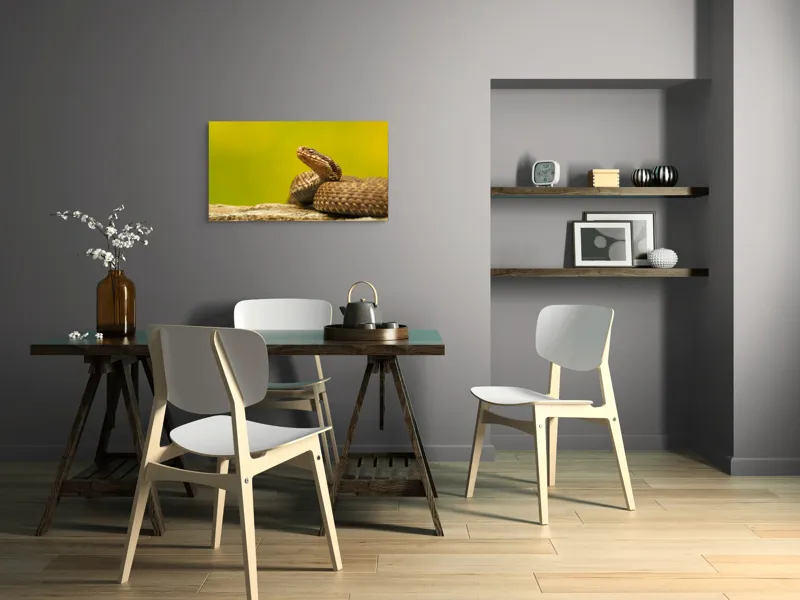 Tablou Canvas, "Șarpe pe piatră sub cer senin", Șarpe, Viperă, Solzi, Ochi, Natură, Pietre, Culoare, Peisaj, 90 x 50 cm – poza 3