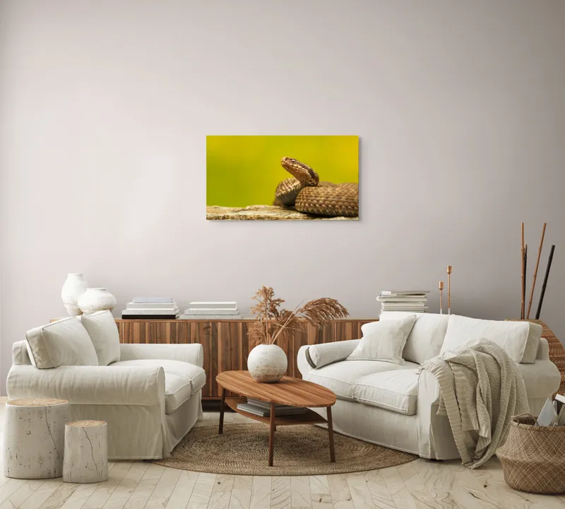Tablou Canvas, "Șarpe pe piatră sub cer senin", Șarpe, Viperă, Solzi, Ochi, Natură, Pietre, Culoare, Peisaj, 90 x 50 cm – poza 4