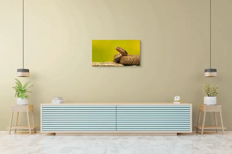Tablou Canvas, "Șarpe pe piatră sub cer senin", Șarpe, Viperă, Solzi, Ochi, Natură, Pietre, Culoare, Peisaj, 90 x 50 cm – poza 5