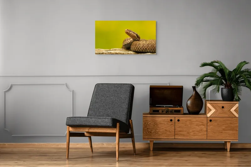 Tablou Canvas, "Șarpe pe piatră sub cer senin", Șarpe, Viperă, Solzi, Ochi, Natură, Pietre, Culoare, Peisaj, 90 x 50 cm – poza 6