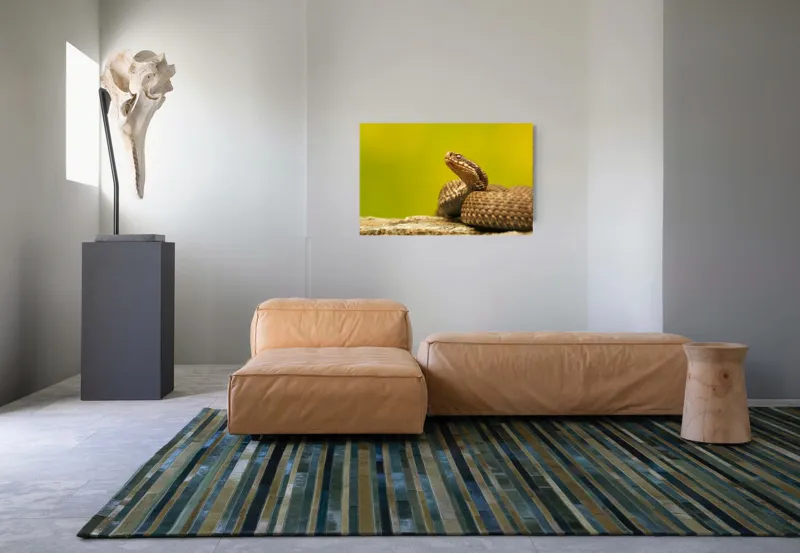 Tablou Canvas, "Șarpe pe piatră sub cer senin", Șarpe, Viperă, Solzi, Ochi, Natură, Pietre, Culoare, Peisaj, 90 x 50 cm – poza 8