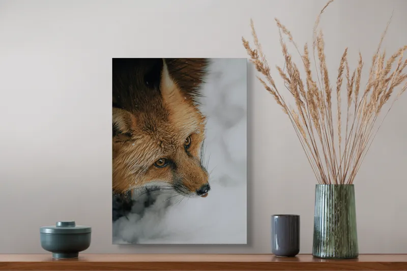 Tablou Canvas, "Vulpe în zăpadă visând iarna", Vulpe, Blană, Zăpadă, Ochii, Natură, Frumusețe, Iarnă, 39 x 54 cm – poza 3