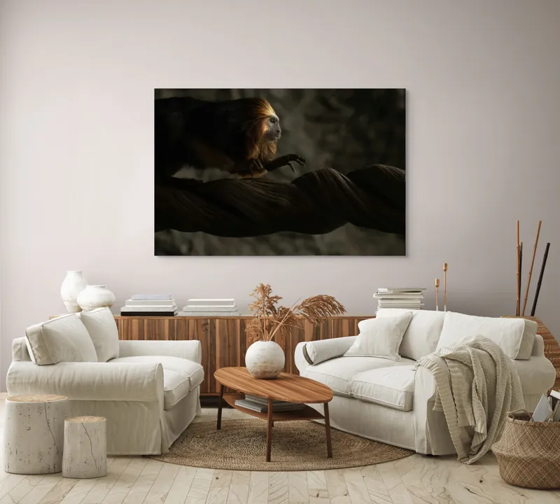Tablou Canvas, "Exploratorul pădurii tropicale misterioase", Primat, Blană, Întuneric, Crengi, Observație, Natură, 150 x 100 cm – poza 3