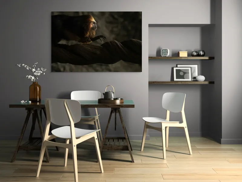 Tablou Canvas, "Exploratorul pădurii tropicale misterioase", Primat, Blană, Întuneric, Crengi, Observație, Natură, 150 x 100 cm – poza 5