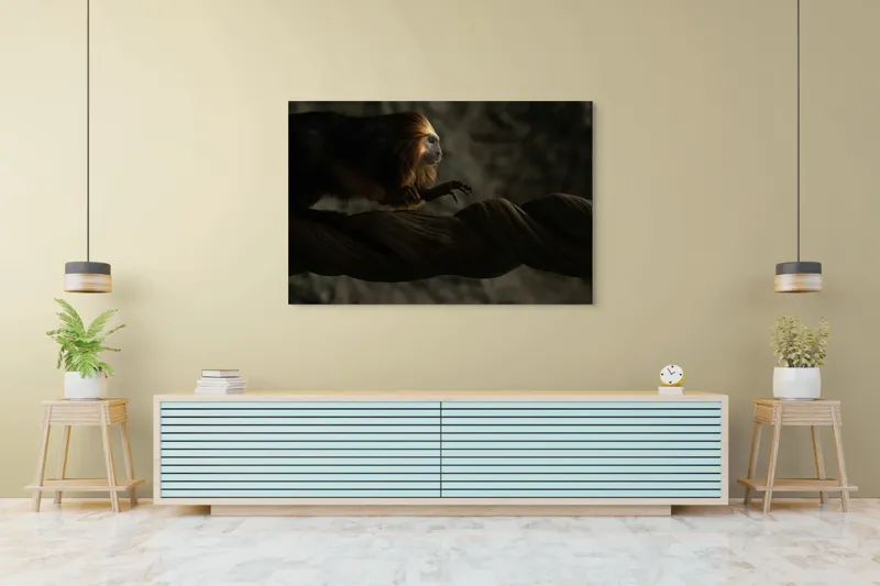 Tablou Canvas, "Exploratorul pădurii tropicale misterioase", Primat, Blană, Întuneric, Crengi, Observație, Natură, 150 x 100 cm – poza 6
